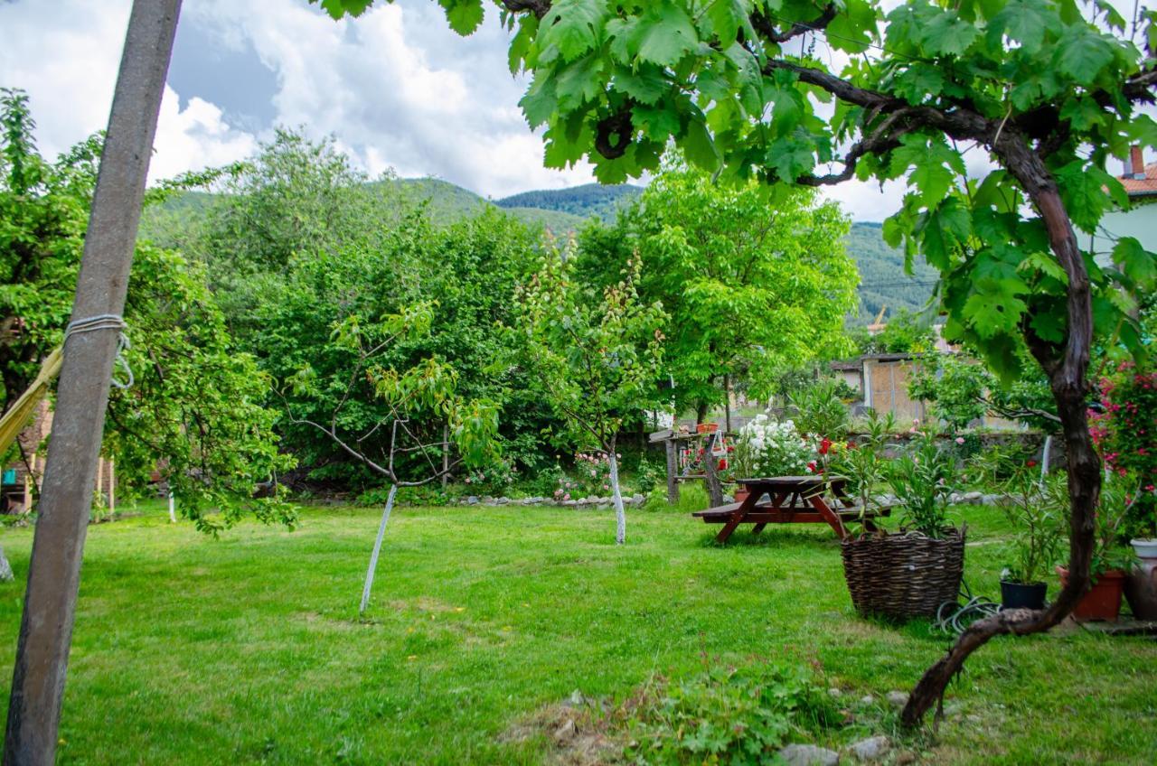Danailovi Guest House Sapareva Banya Buitenkant foto